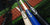 Differences between Maple, Birch, and Ash Bats